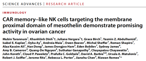 靶向间皮素的CAR记忆样NK细胞：卵巢癌治疗的新希望