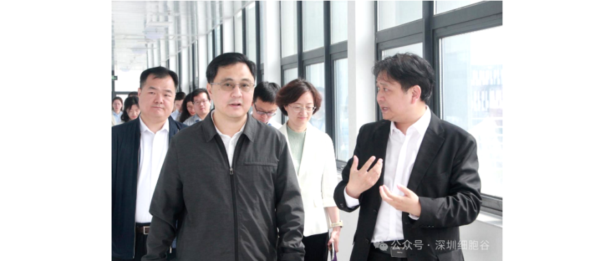 深圳市科创局张林局长一行调研深圳evo真人视讯