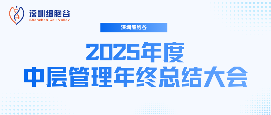 深圳evo真人视讯召开2025年度中层管理年终总结大会：多点布局成果丰硕，创新驱动快速开展