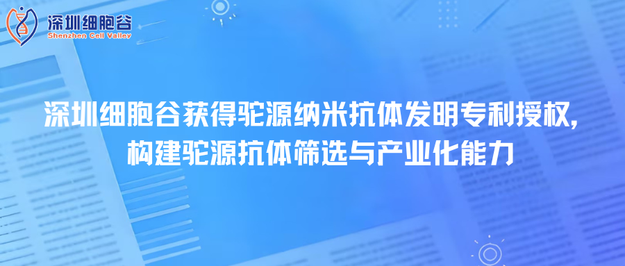 深圳evo真人视讯取得驼源纳米抗体发明专利授权，构建驼源抗体筛选与产业化能力