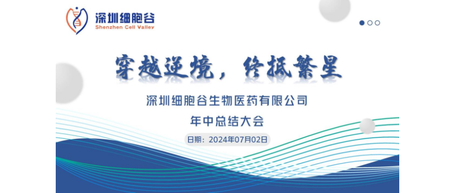 穿越逆境，终抵繁星——深圳evo真人视讯召开2024年中总结大会