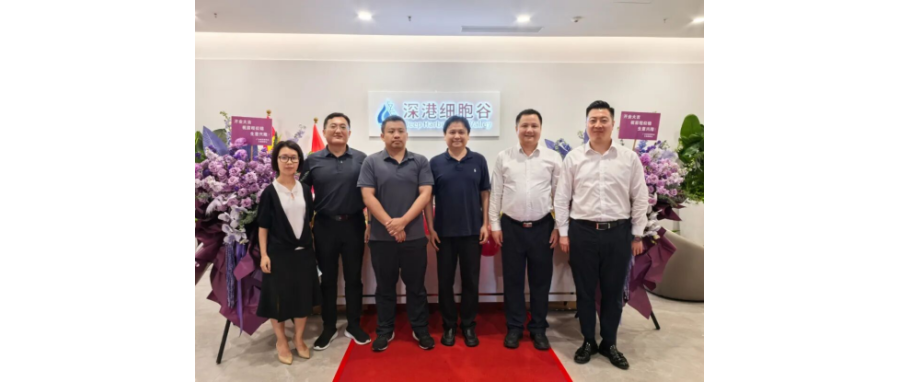 Strictly Guarding the Lifeline of Quality, Empowering a New Future for the Industry | Leaders from the Shenzhen Office for Drug and Medical Device Supervision Visit Shenzhen-Hong Kong Cell Valley for 