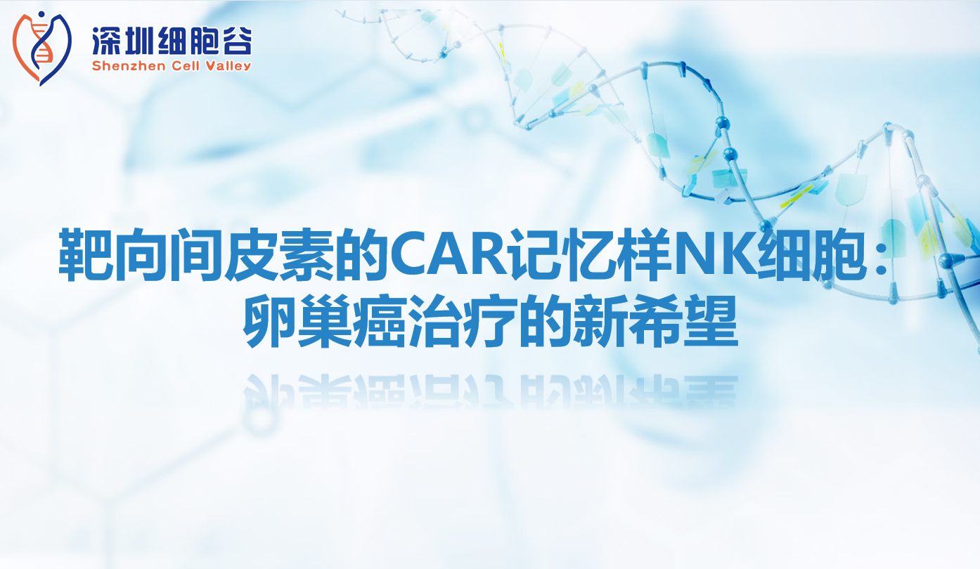 科研赋能|靶向间皮素的CAR记忆样NK细胞：卵巢癌治疗的新希望