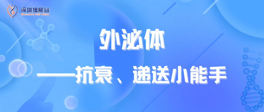 知识科普|外泌体——抗衰、递送小能手