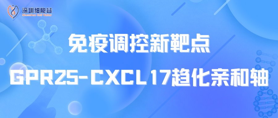 文献分享|免疫调控新靶点：GPR25-CXCL17趋化亲和轴