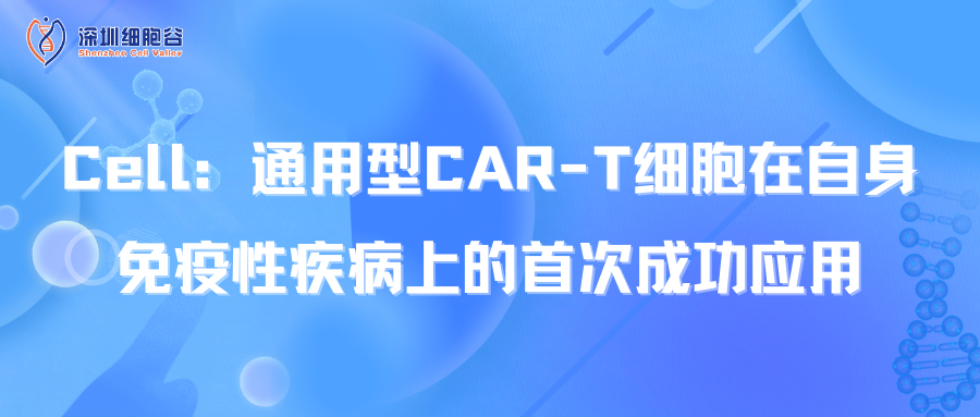 文献分享| Cell：通用型CAR-T细胞在自身免疫性疾病上的首次成功应用