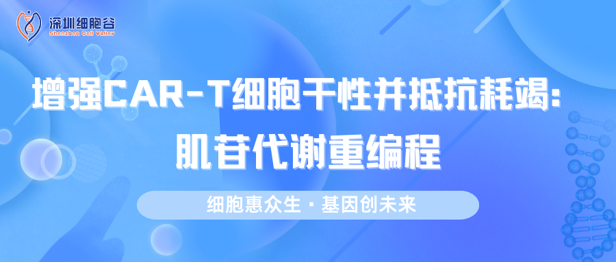 文献分享|增强CAR-T细胞干性并抵抗耗竭：肌苷代谢重编程