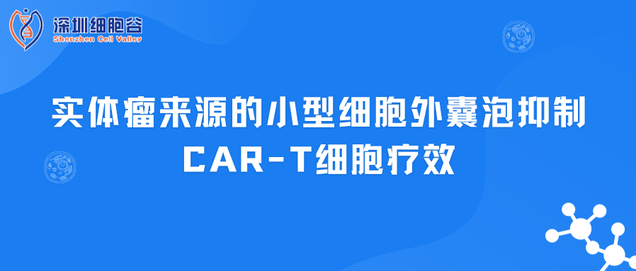 文献分享|实体瘤来源的小型细胞外囊泡抑制CAR-T细胞疗效