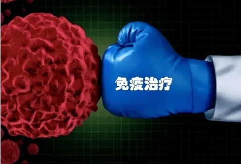 1785135616.png 图片.png