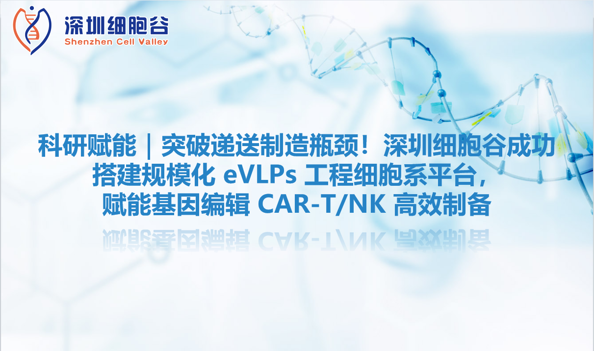 科研赋能｜突破递送制造瓶颈！深圳evo真人视讯成功搭建规模化 eVLPs 工程细胞系平台，赋能基因编辑 CAR-T/NK 高效制备