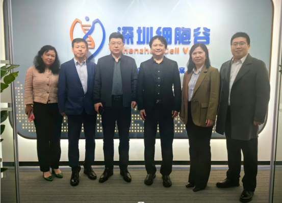 Collaboration Exchange | President Xing Jianwu and Vice President Wang Huirui of the Second Affiliated Hospital of Henan University of Science and Technology Visit Shenzhen Cell Valley