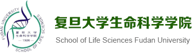 1789030812.png 图片.png
