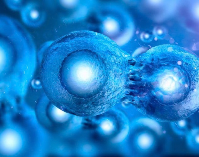 Stem Cell Exosomes Stem Cell Exosomes